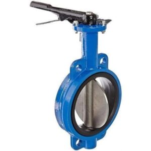 Butterfly Valve - SS DISC