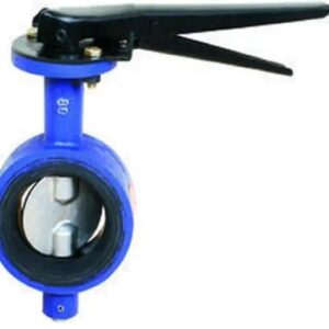 Butterfly Valve - CI DISC