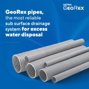 GEO REX
